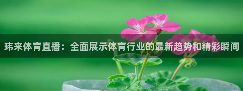 黑白直播在线观看比赛